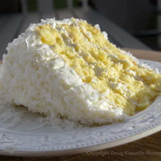 Lemon & Coconut Madeline